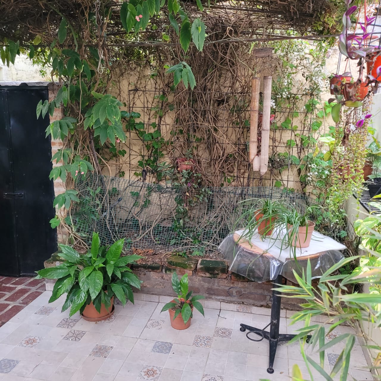 Imagen de WhatsApp 2025-09-29 a las 18.25.18_7b10f0cb