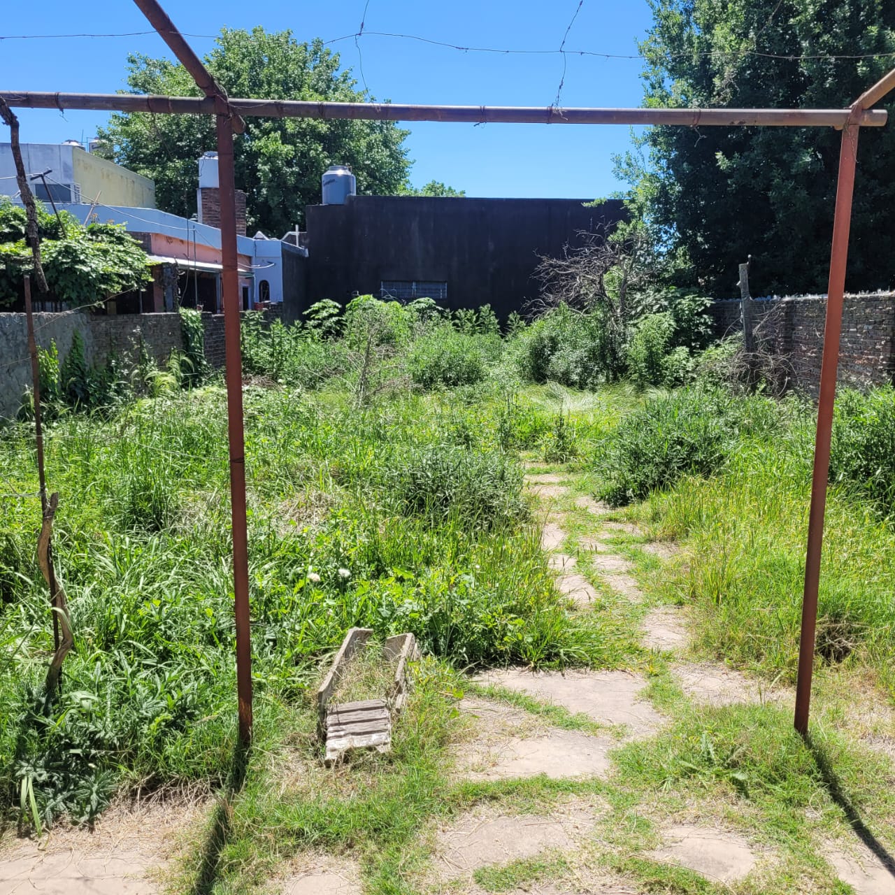 Imagen de WhatsApp 2025-10-21 a las 17.21.51_c6ef66d3