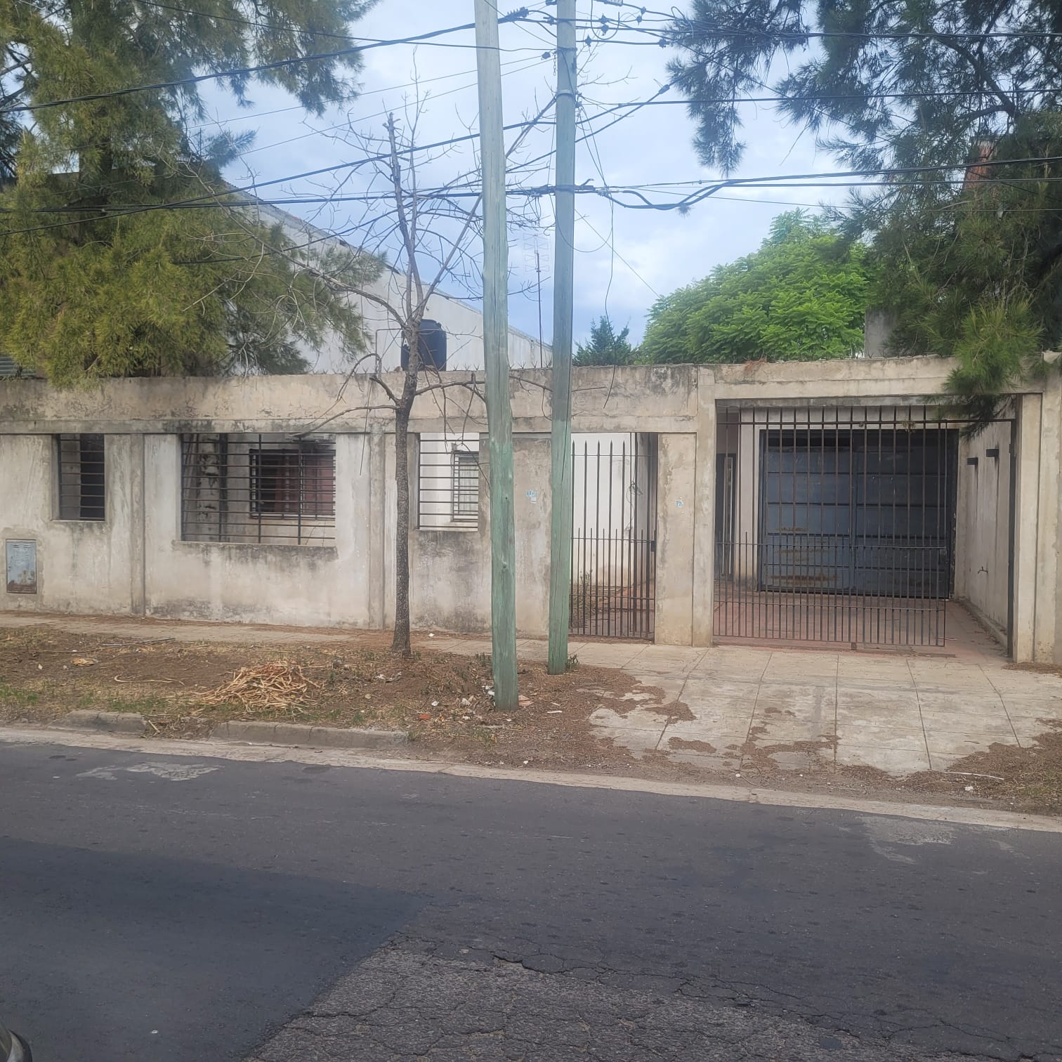 WhatsApp Image 2026-03-04 at 7.00.53 PM