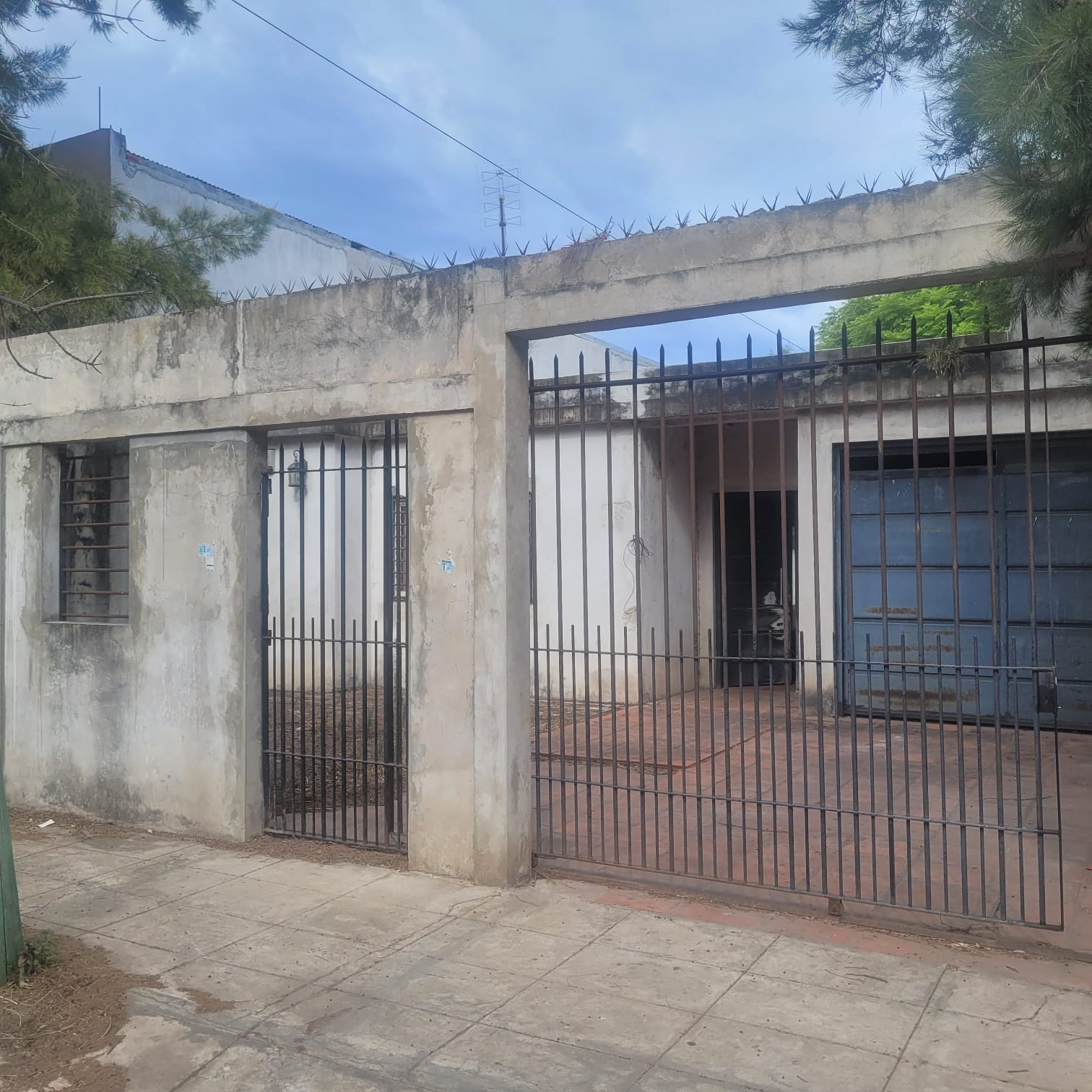 WhatsApp Image 2026-03-04 at 7.00.54 PM