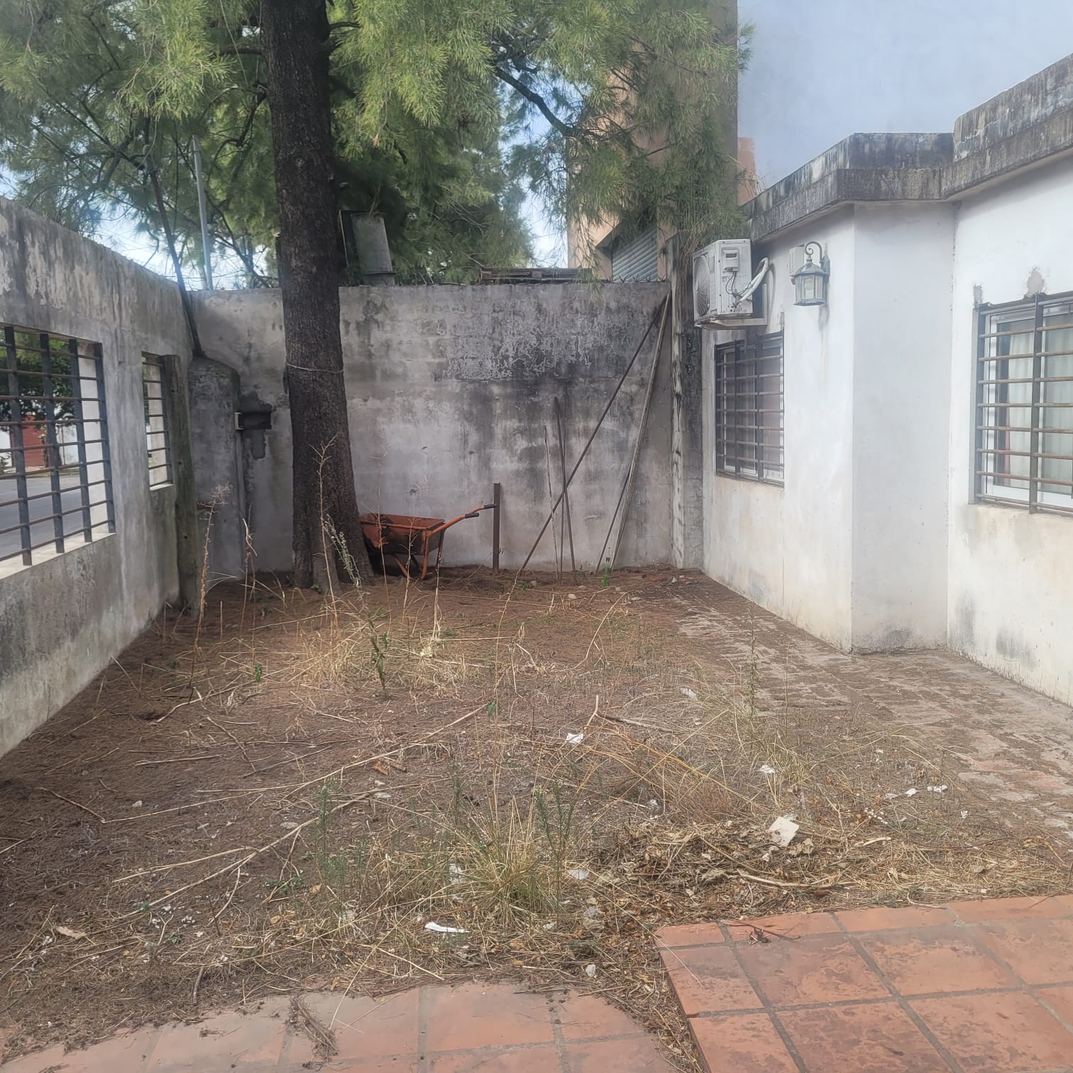 WhatsApp Image 2026-03-04 at 7.00.56 PM