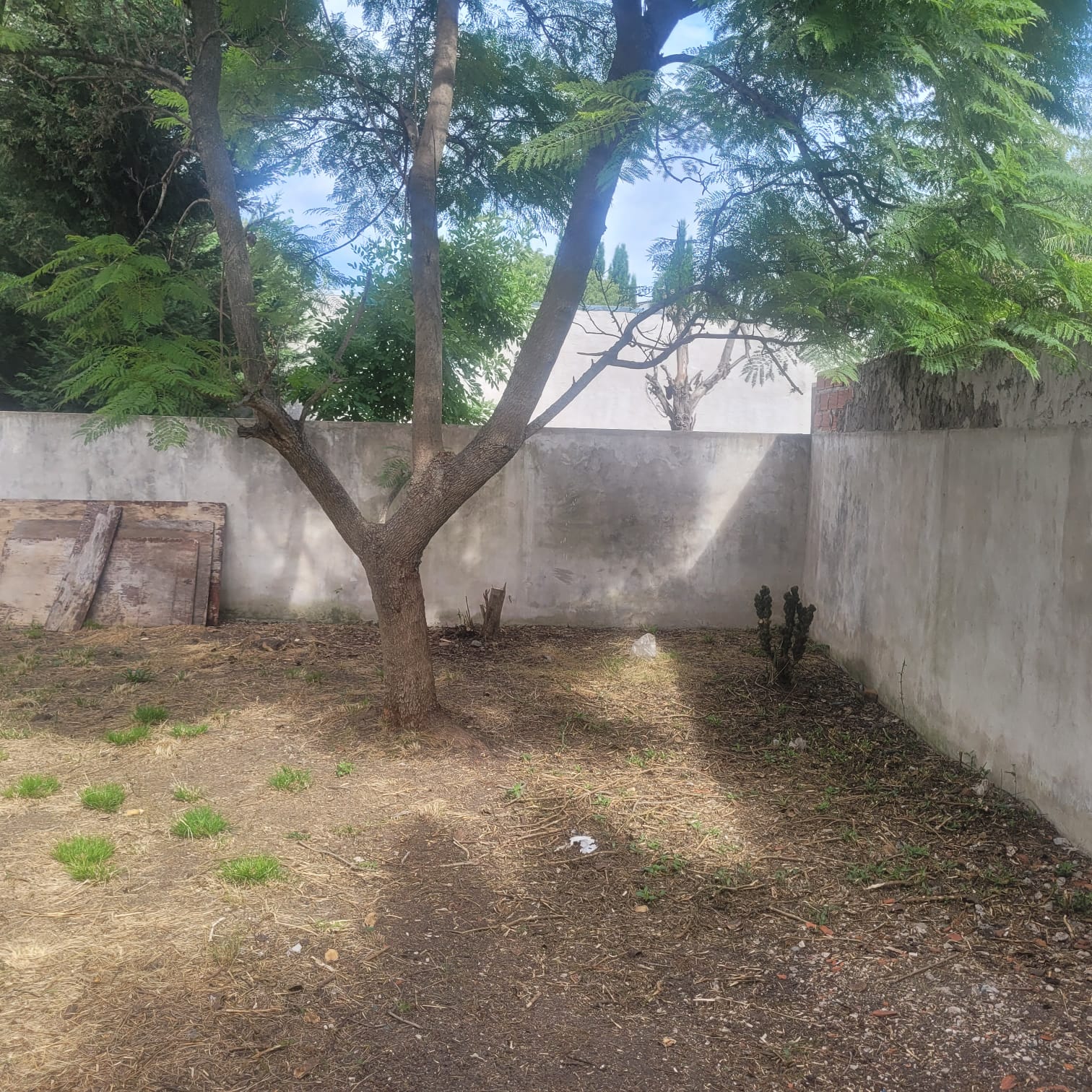 WhatsApp Image 2026-03-04 at 7.01.02 FG