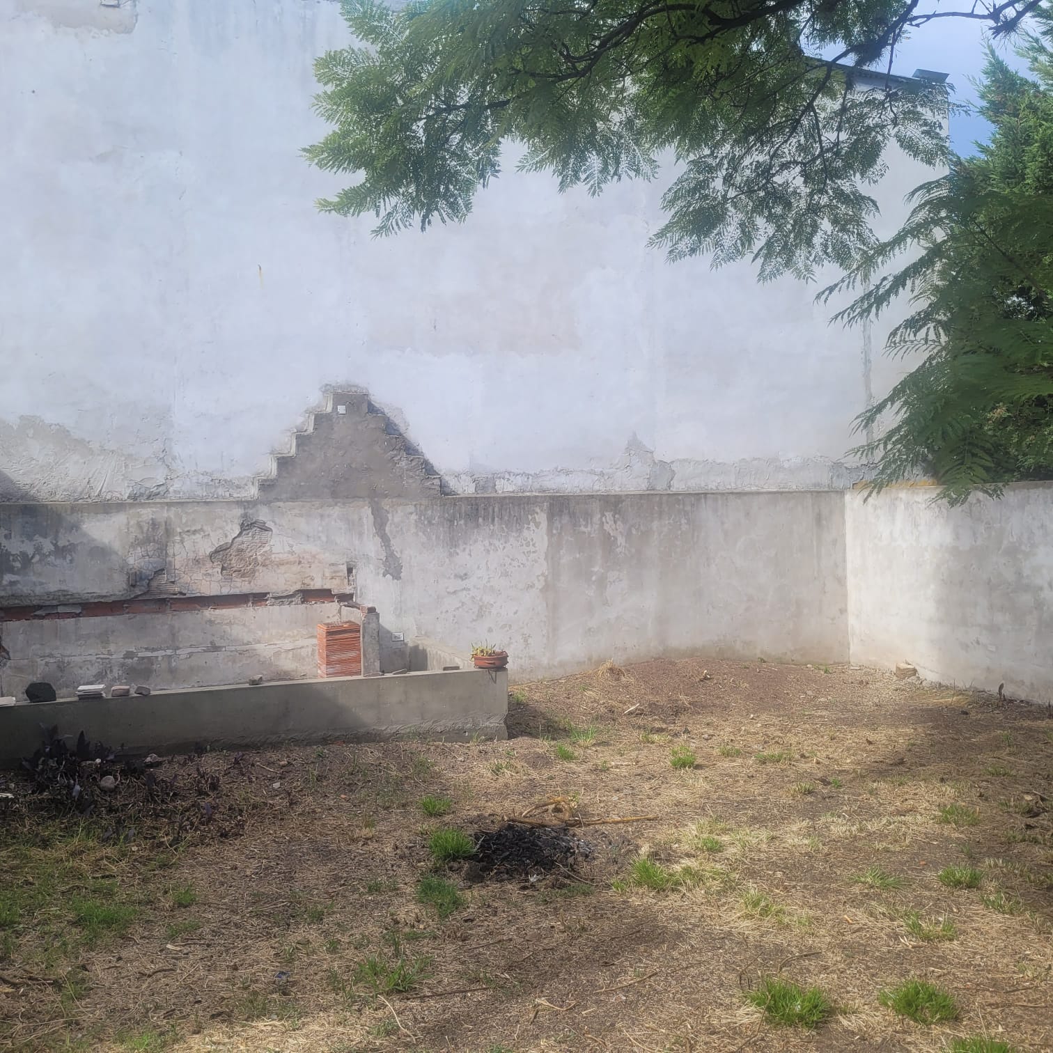 WhatsApp Image 2026-03-04 at 7.01.02 PMAS