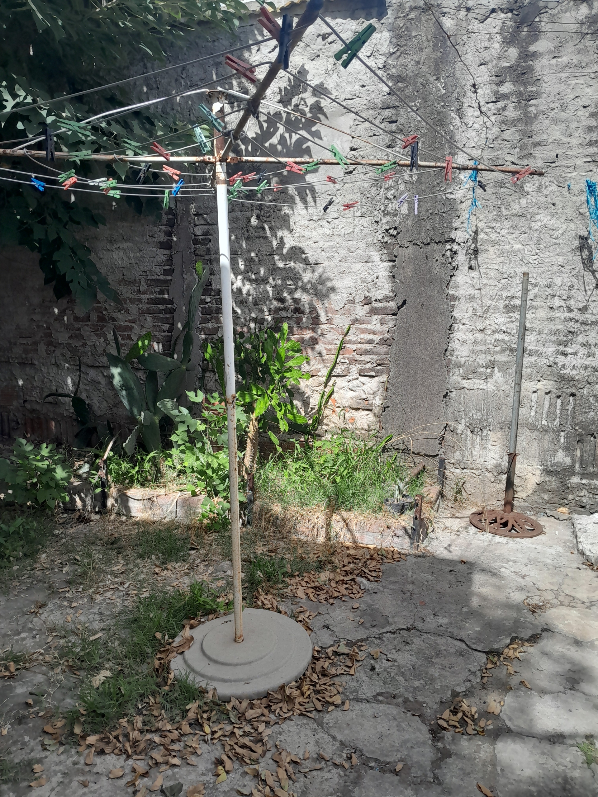 20260308_111522.jpg